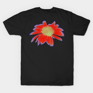 Red Hot Daisy T-Shirt